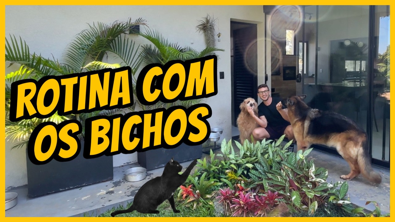 Vlog: MINHA MANH&Atilde; real com meus ANIMAIS - BAGUN&Ccedil;A, CAF&Eacute; e CARINHO | Henrique Buttler