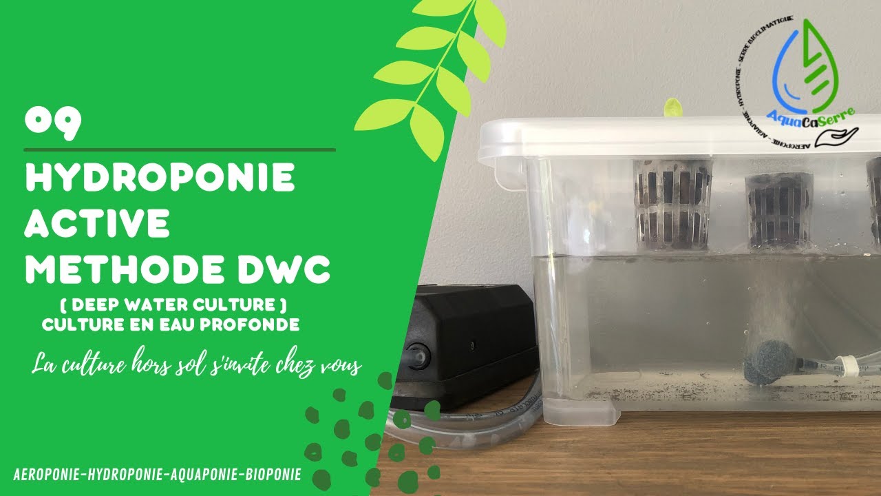 La m&eacute;thode hydroponique DWC