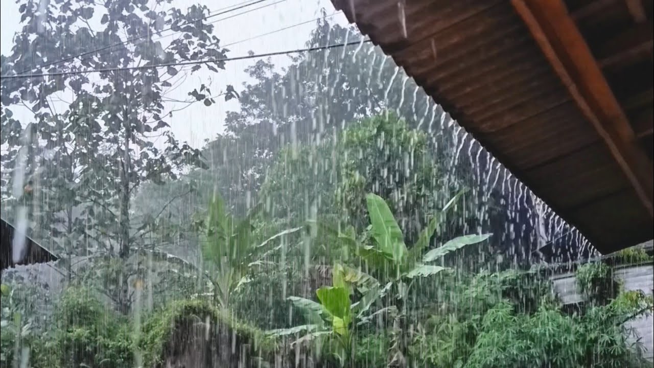 Heavy Rain Sounds 🌧️ Deep Sleep Fast | Calming Rain Ambience for Stress Relief