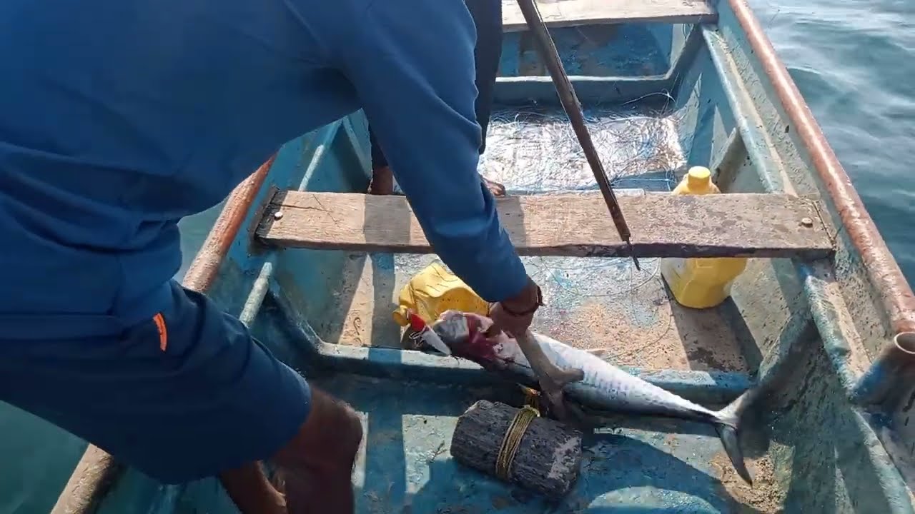king fish fishing in konkan//🐟🎣🎣#deepseafishing #catchingfish #malvanilife
