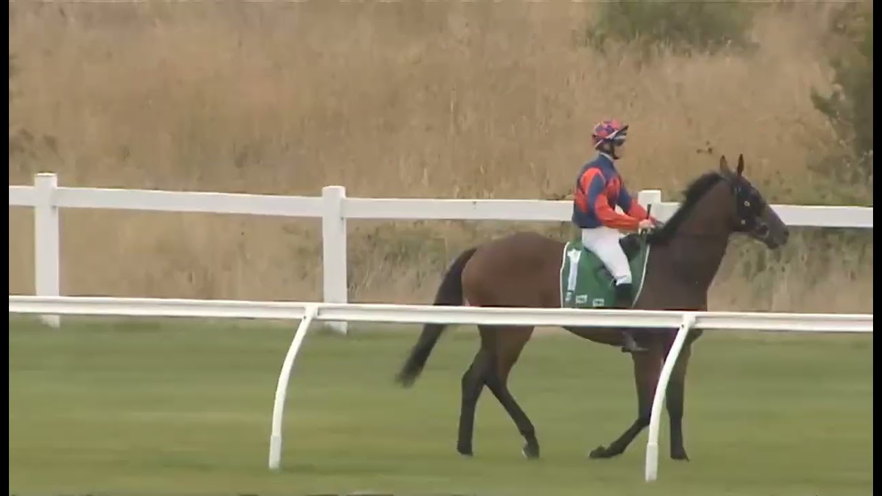 RACE 3 - GOULBURN - AUSTRALIA 12 FEB 2026