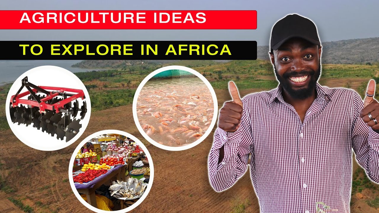 5 FARMING OPPORTUNITIES IN AFRICA THAT YOU DON'T KNOW ABOUT