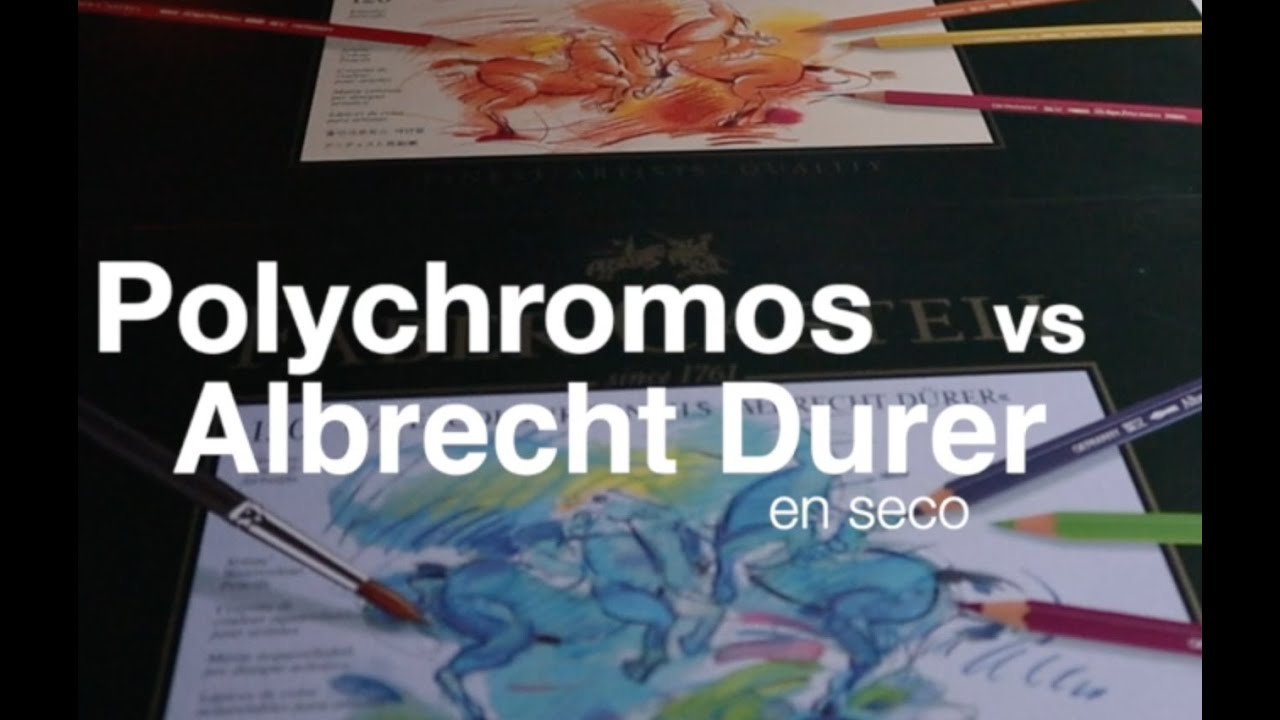 Polychromos vs Albrecht Durer en seco