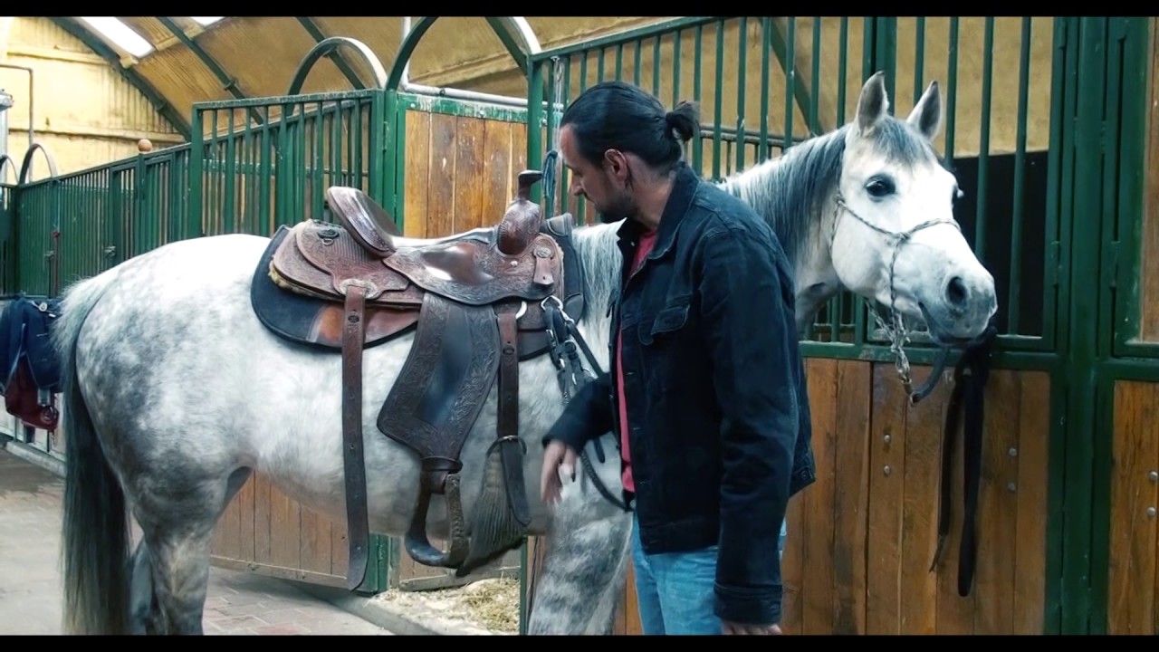 harnasarea western