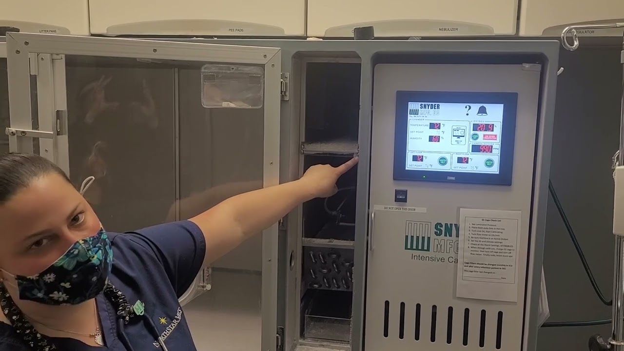 Setting Up Oxygen Cages 1