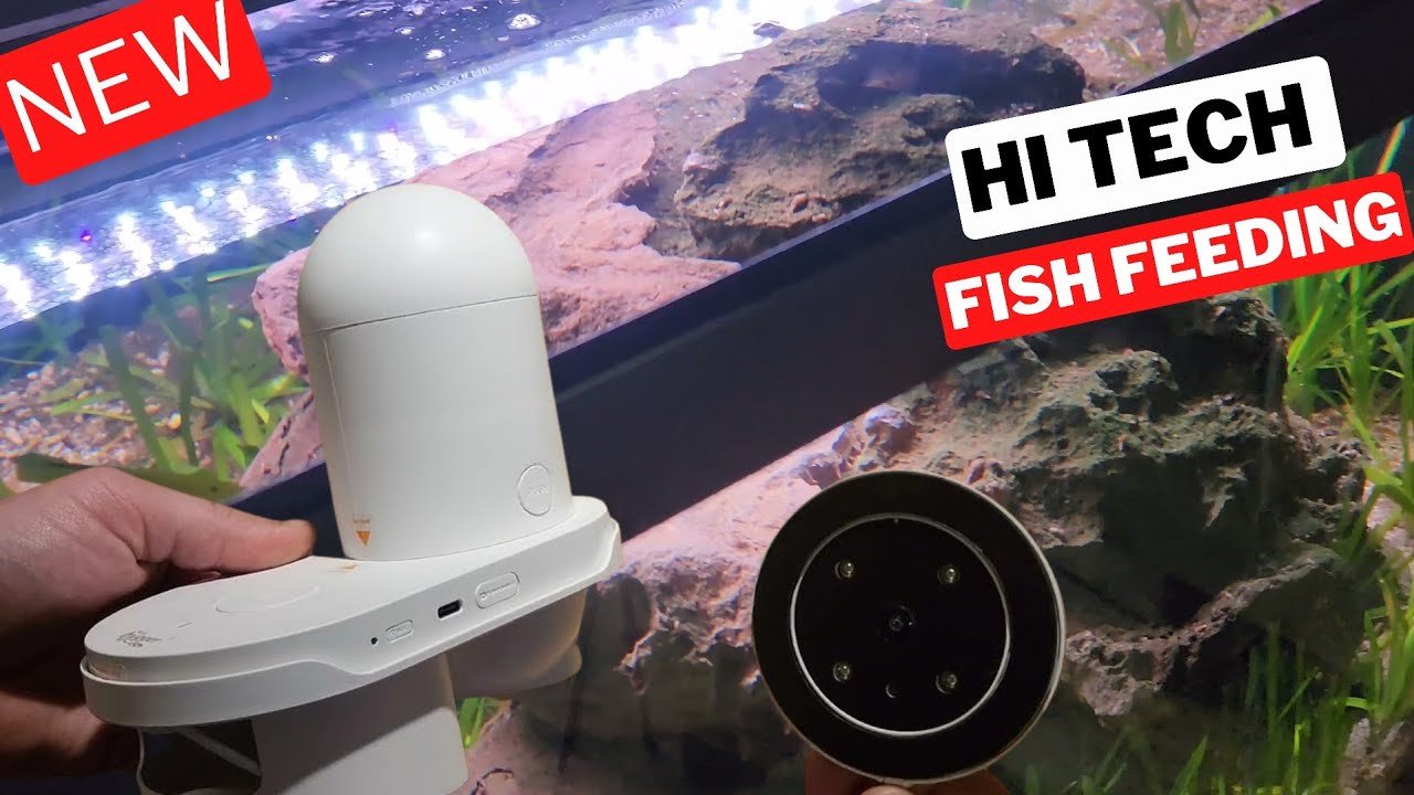 Smart Feeding with Hygger's WiFi Fish Feeder & HD Camera | Aquarium Automation!