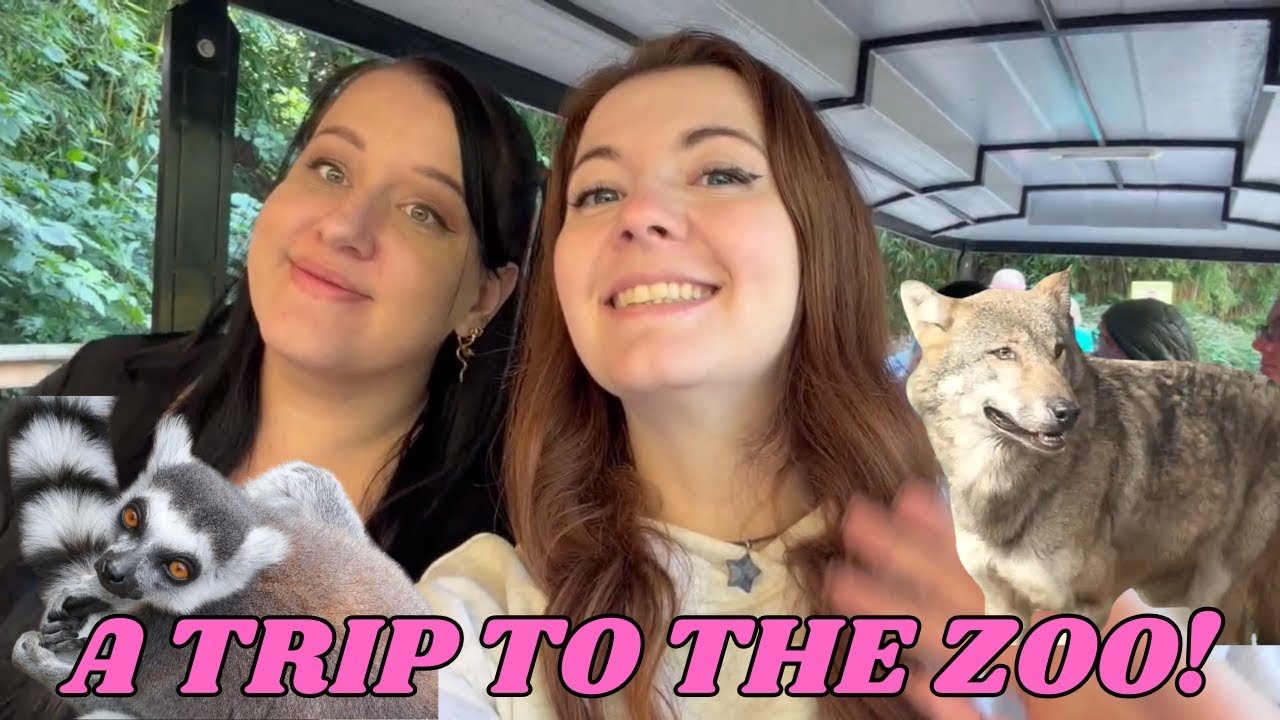 A quiet day at Colchester Zoo! 🐺🐆 🦖 || 2025 Video Diary