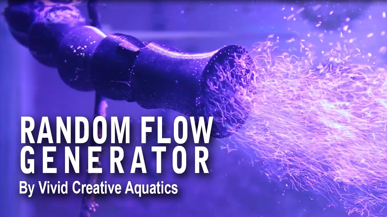 ГЕНЕРАТОР СЛУЧАЙНОГО ПОТОКА от Vivid Creative Aquatics!