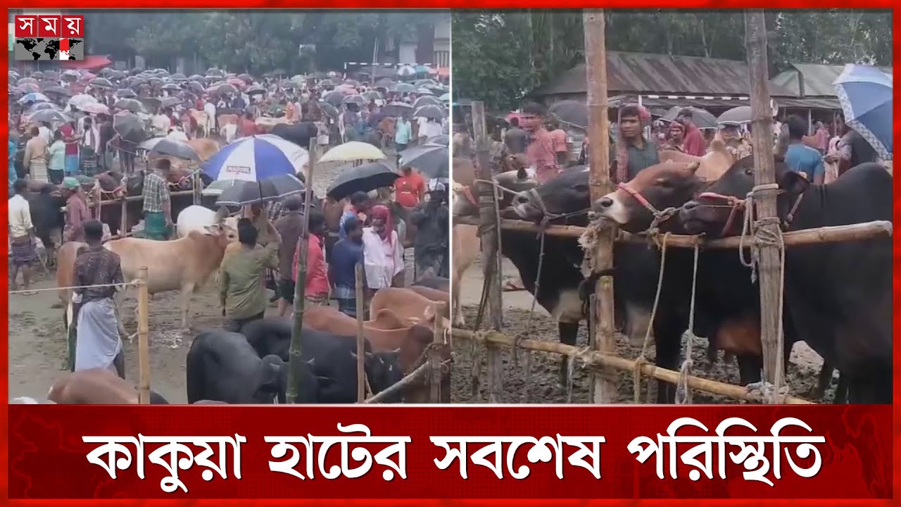 ক্রেতা-বিক্রেতার হাঁকডাকে জমজমাট টাঙ্গাইলের পশুর হাট | Qurbani Cow Haat | Tangail | Somoy TV