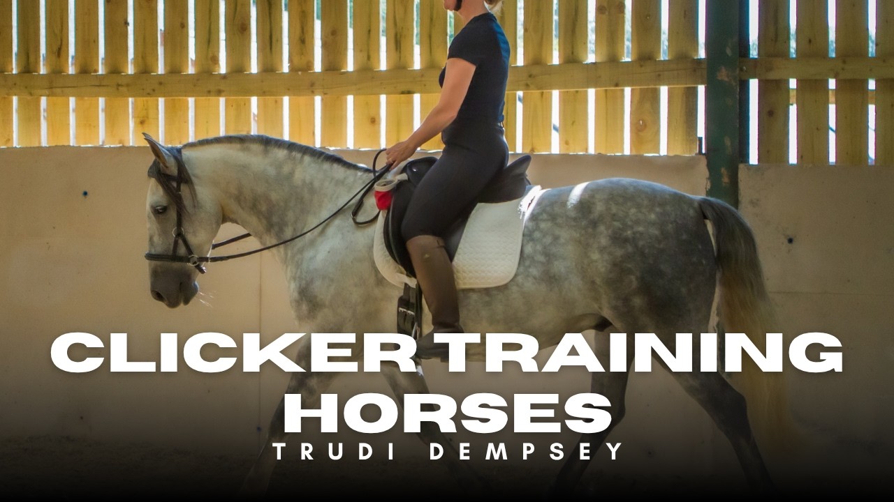 Calm Food Delivery for Clicker Trained Horses (avoiding extinction)