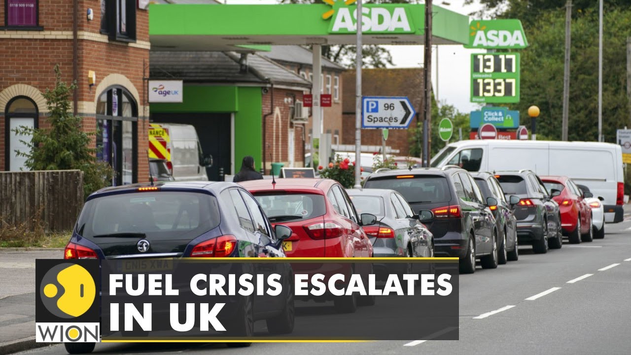 UK: Transport Minister denies fuel shortage |Latest World English News | UKFuelcrisis | WION