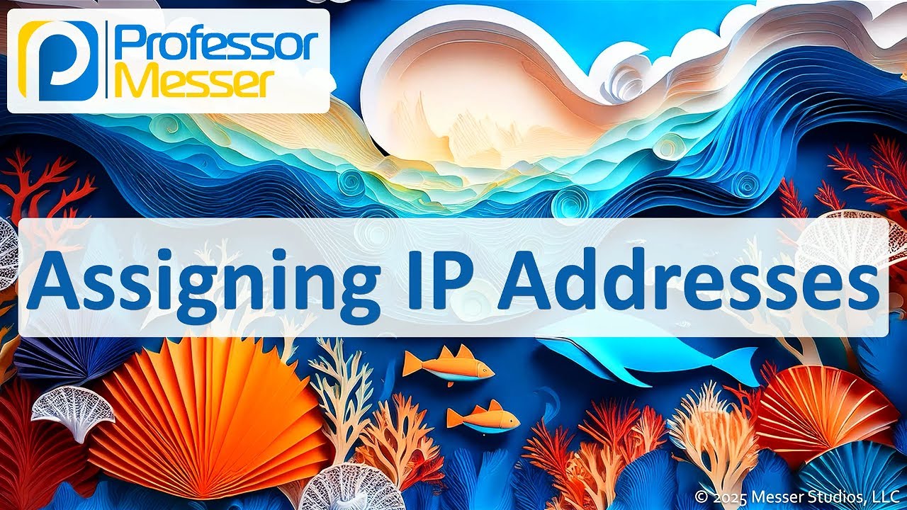 Assigning IP Addresses - CompTIA A+ 220-1201 - 2.6
