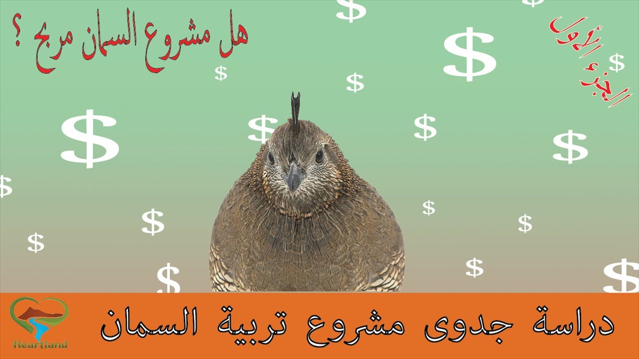 دراسة جدوى مشروع تربية السمان - الجزء الأول