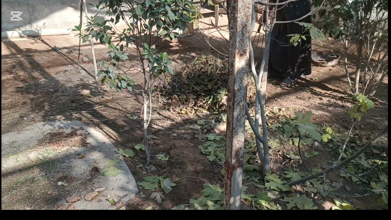ترتيب المحميه ونضافة الارضيه جدا مهم