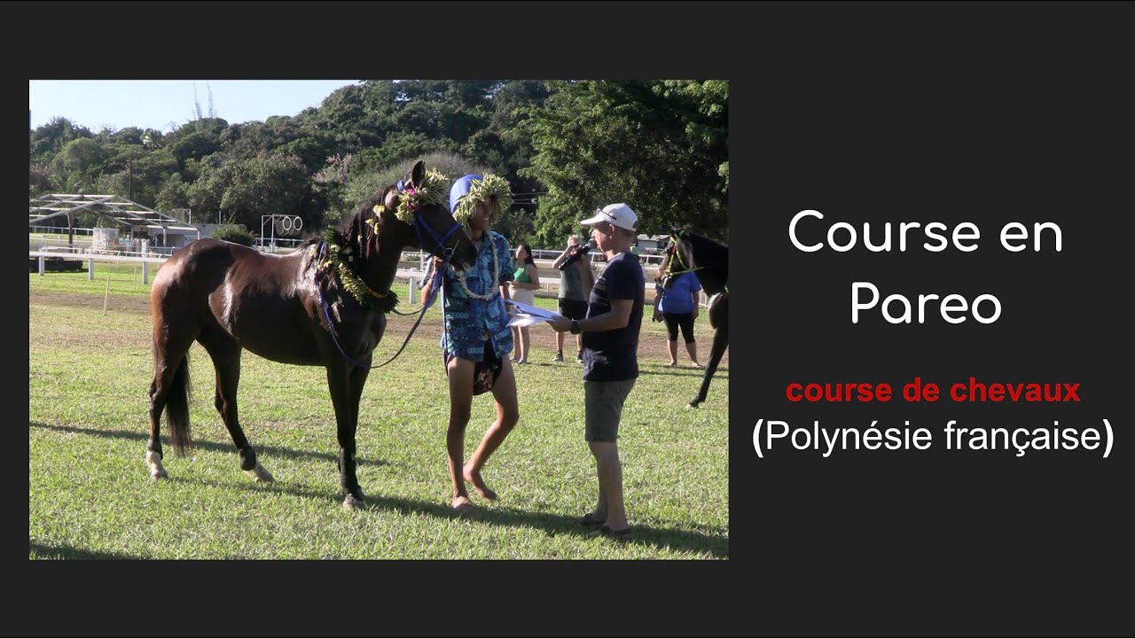 Course hippique en pareo