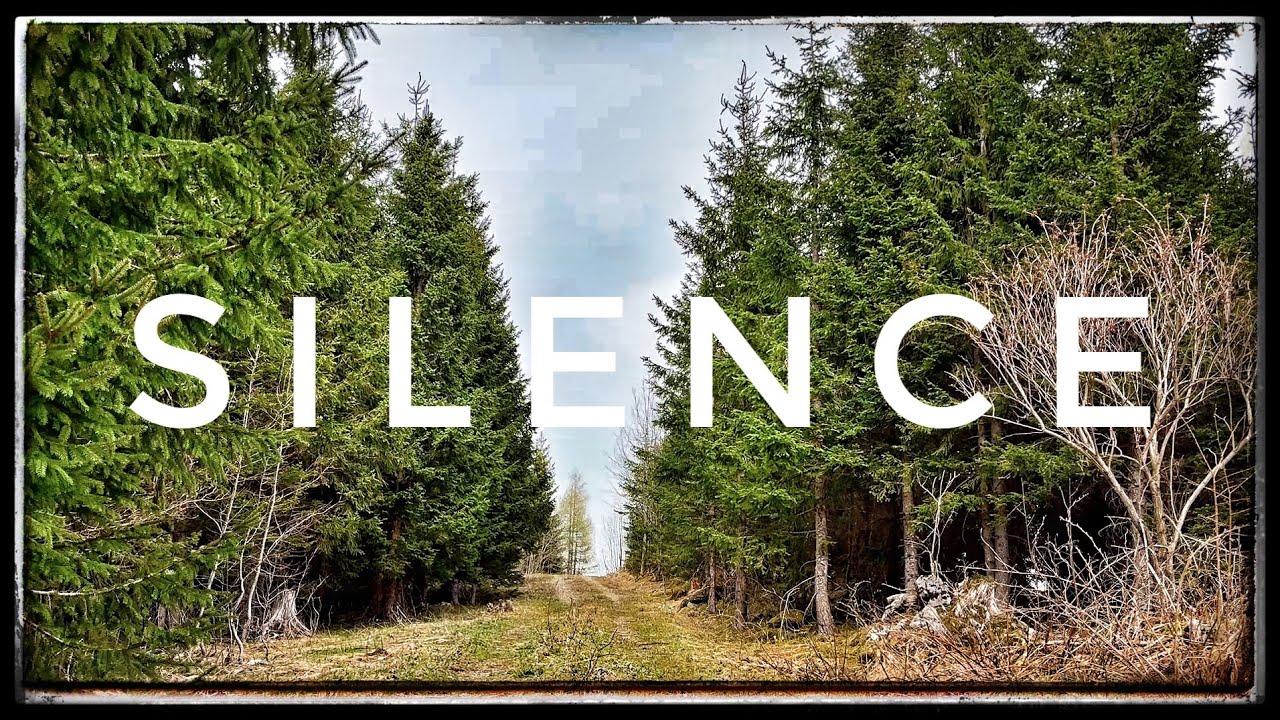 SILENCE - 8 Hours of Nothing | Pure Silent Place | Relaxing Ambience | Soft Wind | Quiet #347