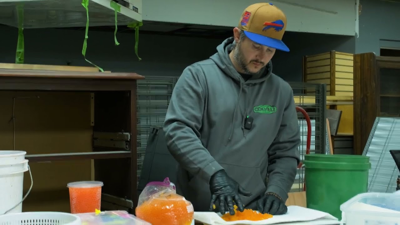 Curing Eggs and Chrome Cure directions with Danny Colville on No Sleep