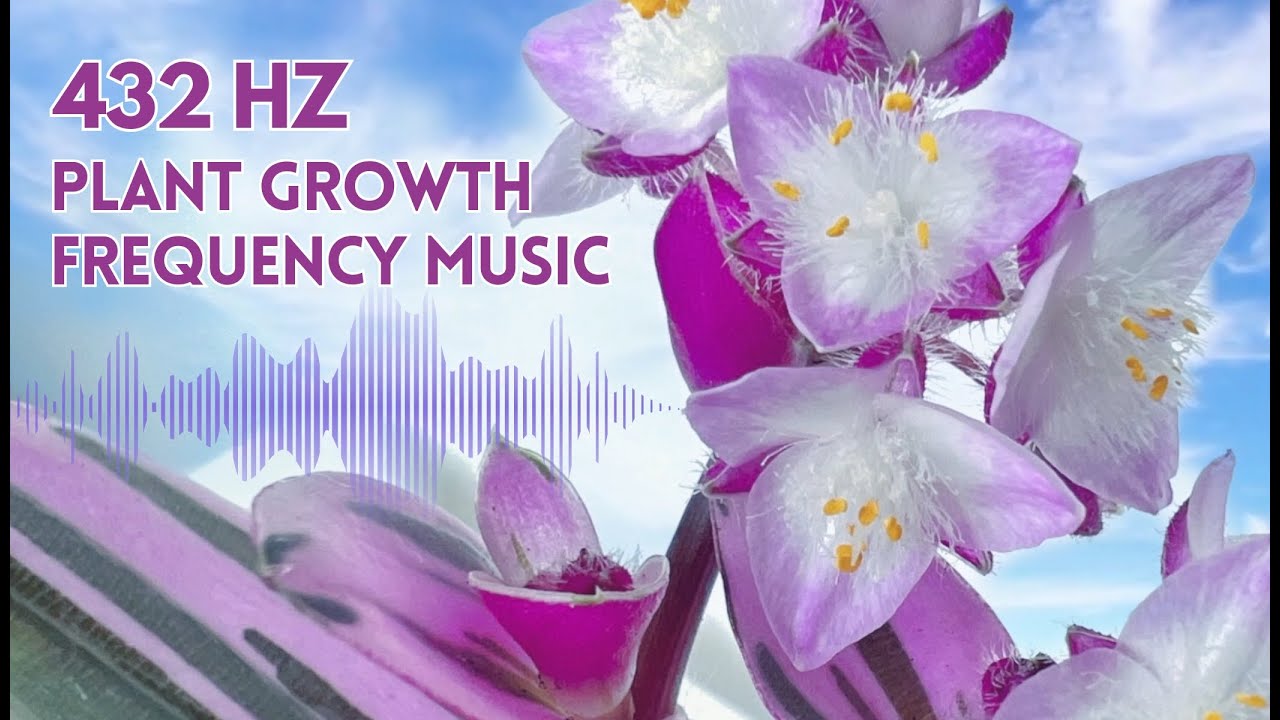 432 Hz Music for Plants To Stimulate Plant Growth and Healing Vibes