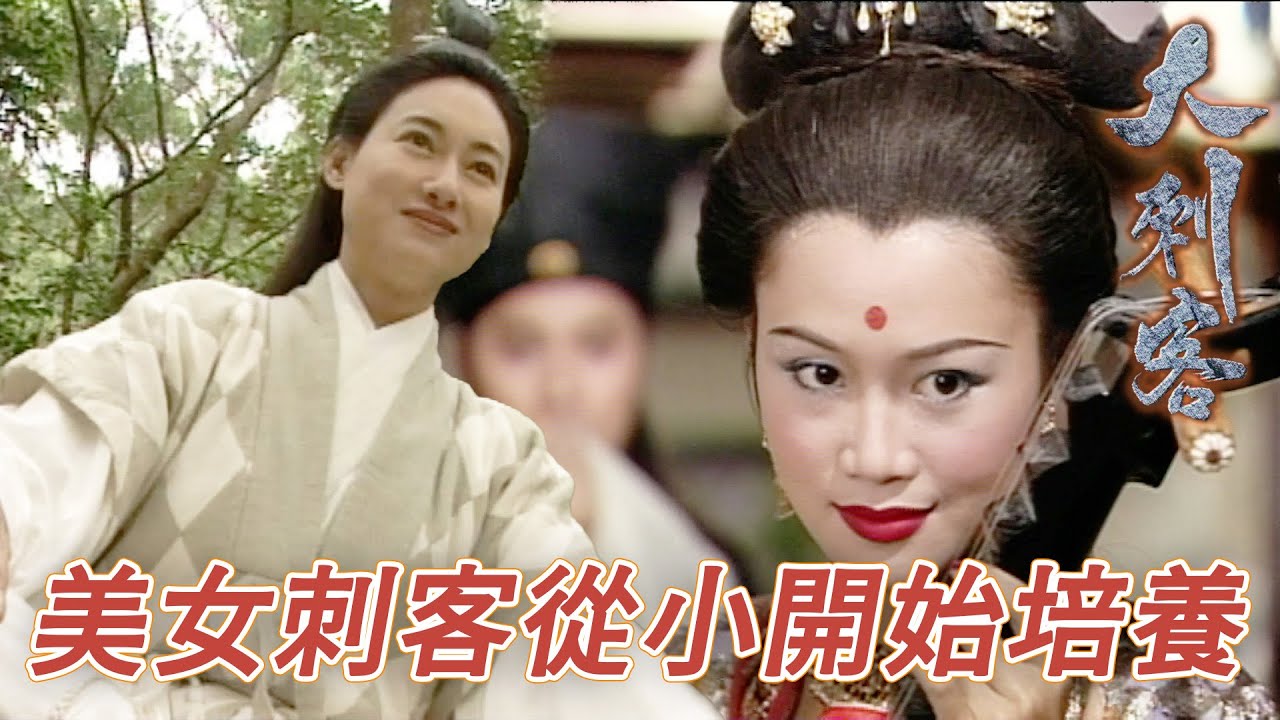 進行復仇的刺客從小培養！雖以師徒相稱但怎樣看都像母女！｜大刺客｜鄭則仕｜錢小豪｜古天樂｜樊少皇｜陳芷菁｜梁小冰｜港劇精華｜TVB 劇集