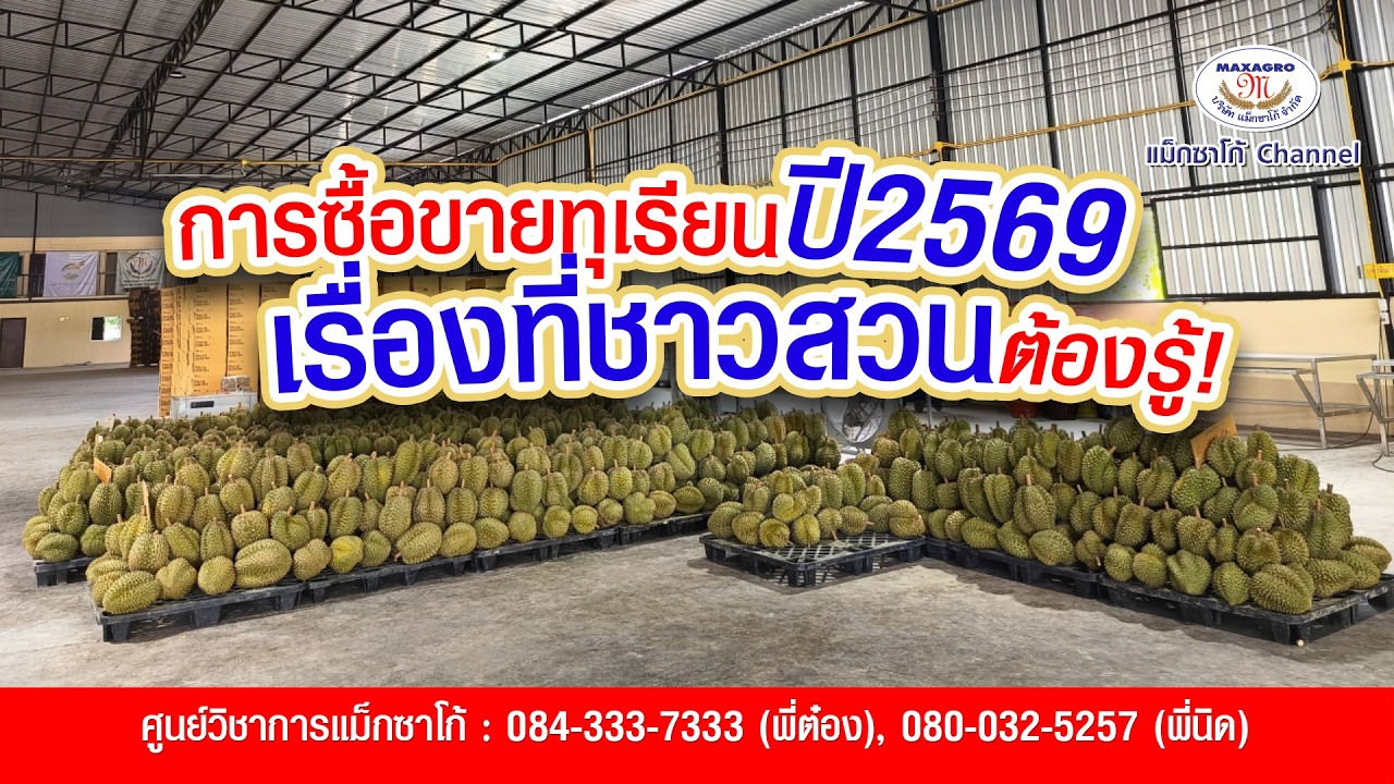 การซื้อขายทุเรียนปี 2569 เรื่องที่ชาวสวนต้องรู้!!