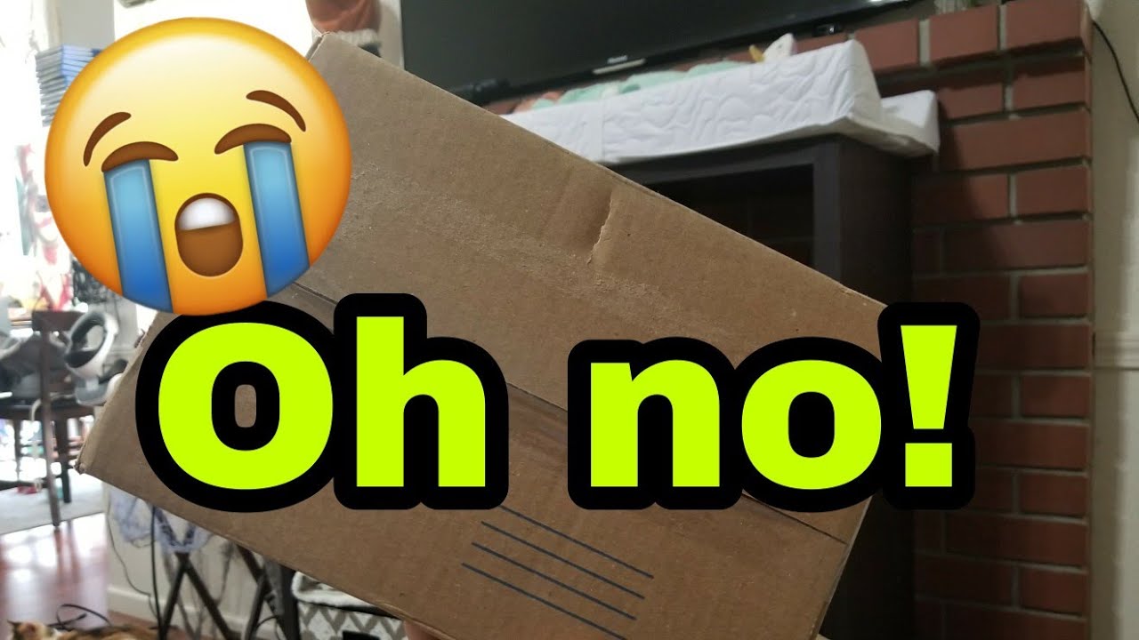 SCAMMED! Reborn Baby Box Opening!