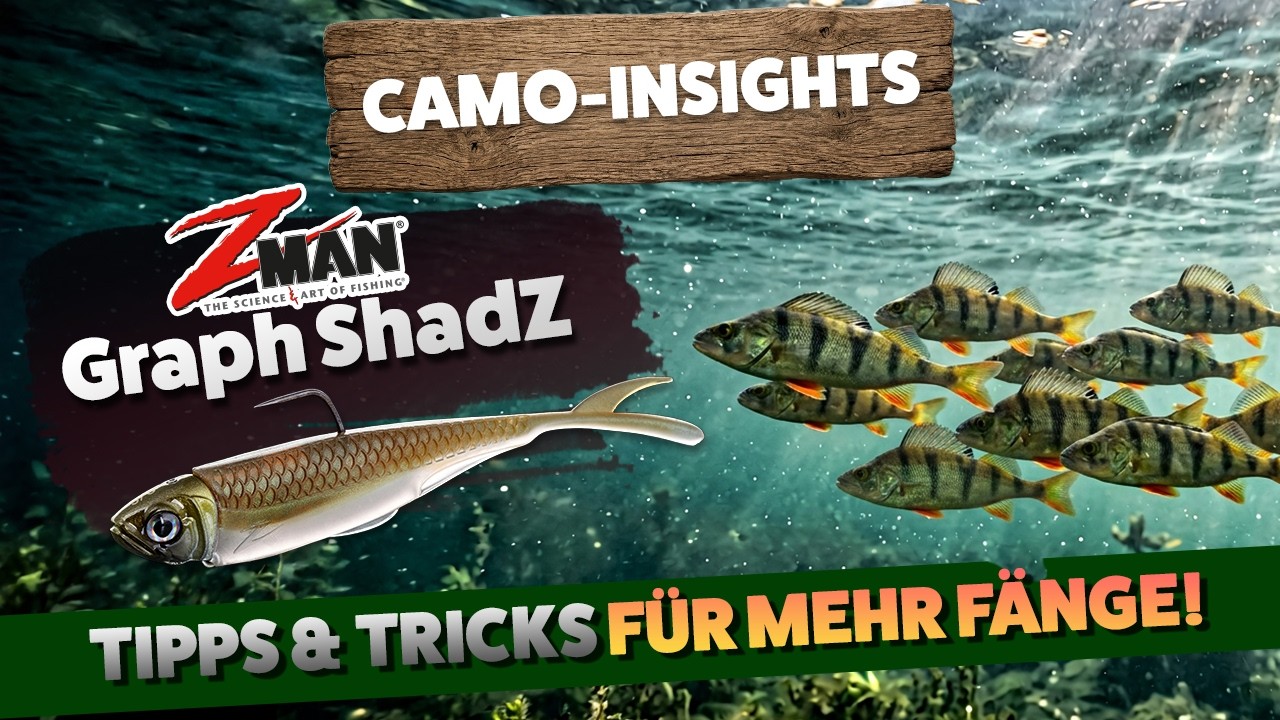 Camo-Insights 