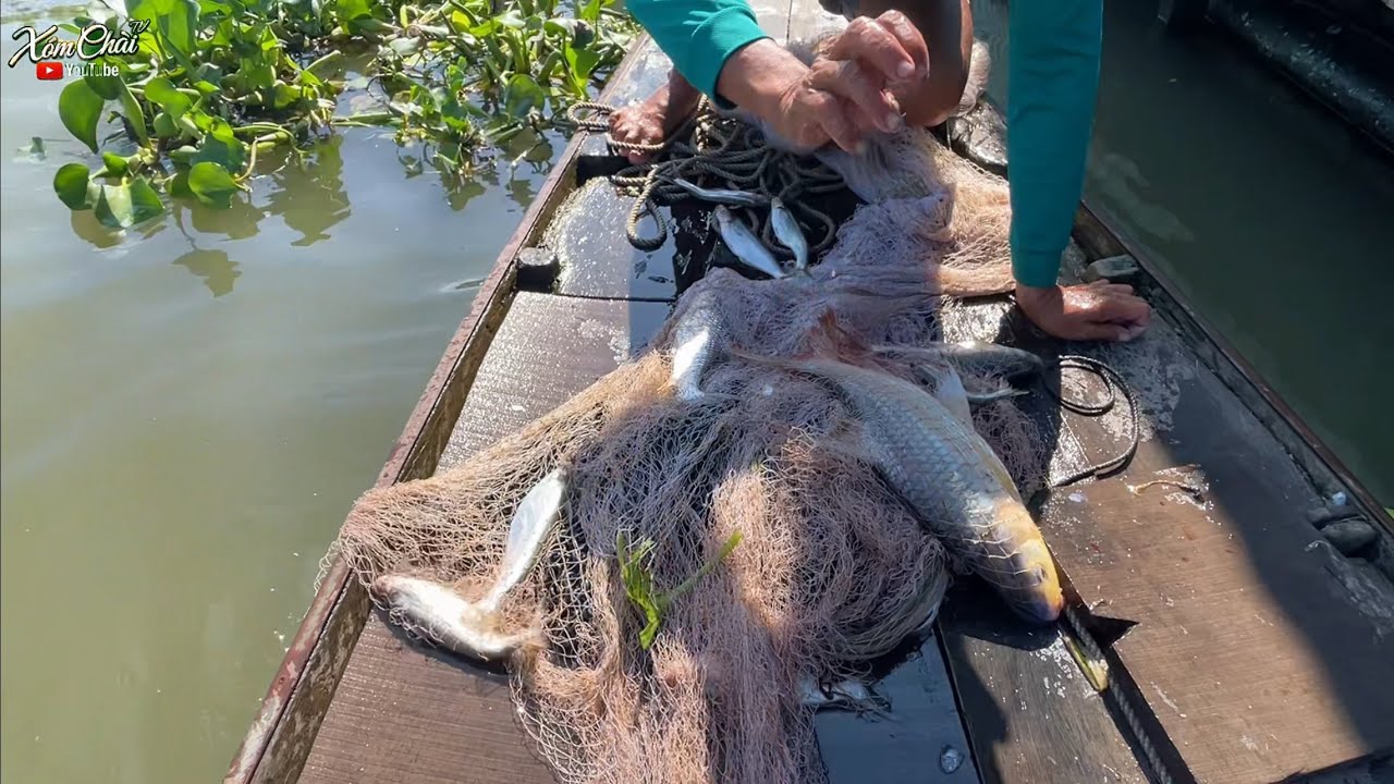 Chài Cá Sông Trên Làng Bè Châu Đốc