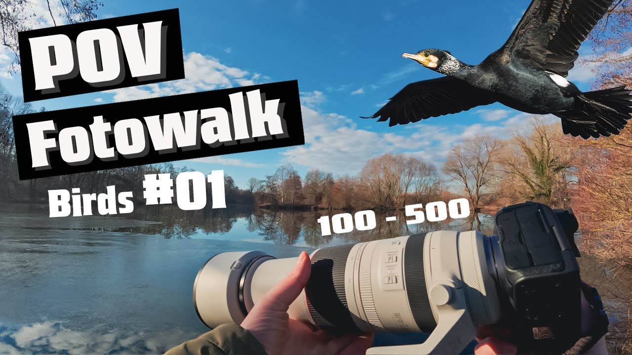 POV Wildlife Photography | #01 Vögel  | Steinfeld in Germany | Canon R5 Mark II | RF 100 - 500