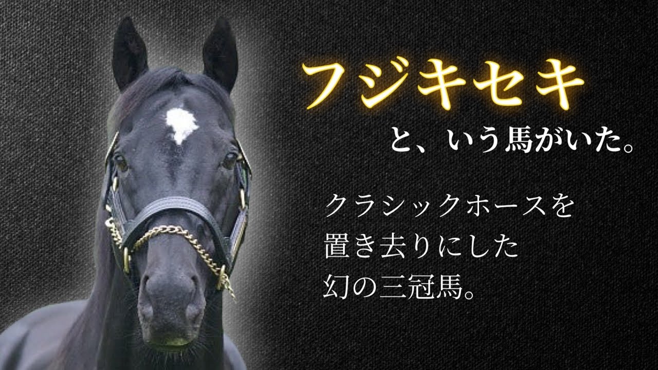 【幻の三冠馬】フジキセキ🐎