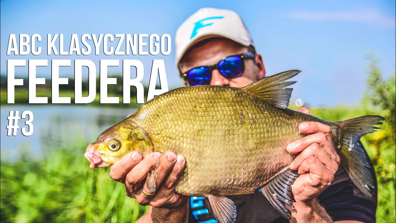 ABC Feedera cz. 3: precyzja kluczem do sukcesu