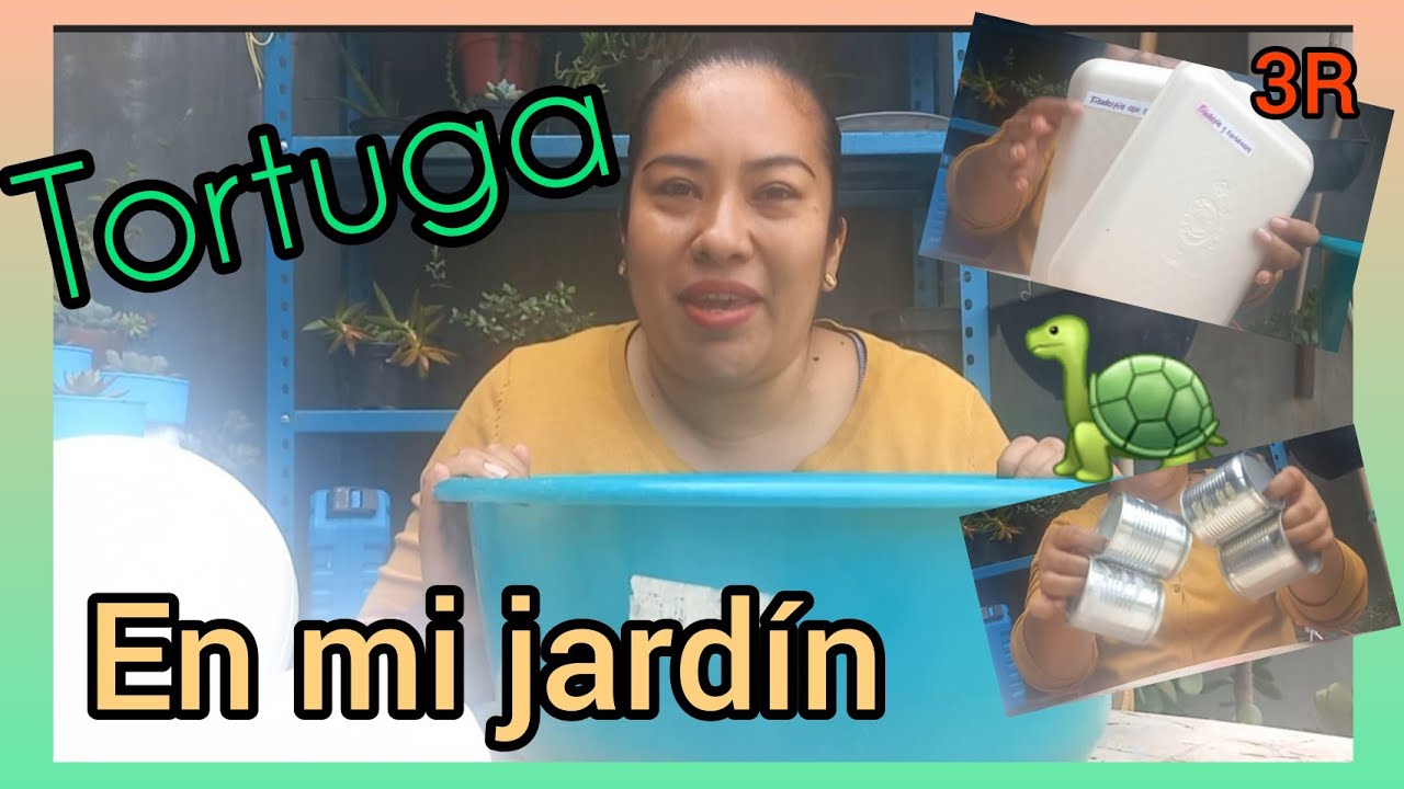 Maceta reciclada en forma de tortuga o animalito #ReciclaConAnais #macetatortuga #reciclaje