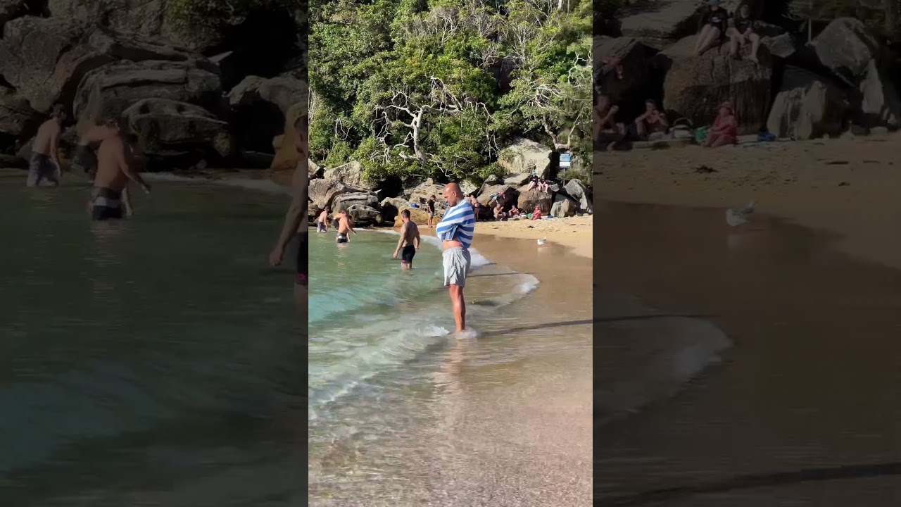Manly Shelly Beach 🏝️, Sydney 🇦🇺 #shorts #shelly