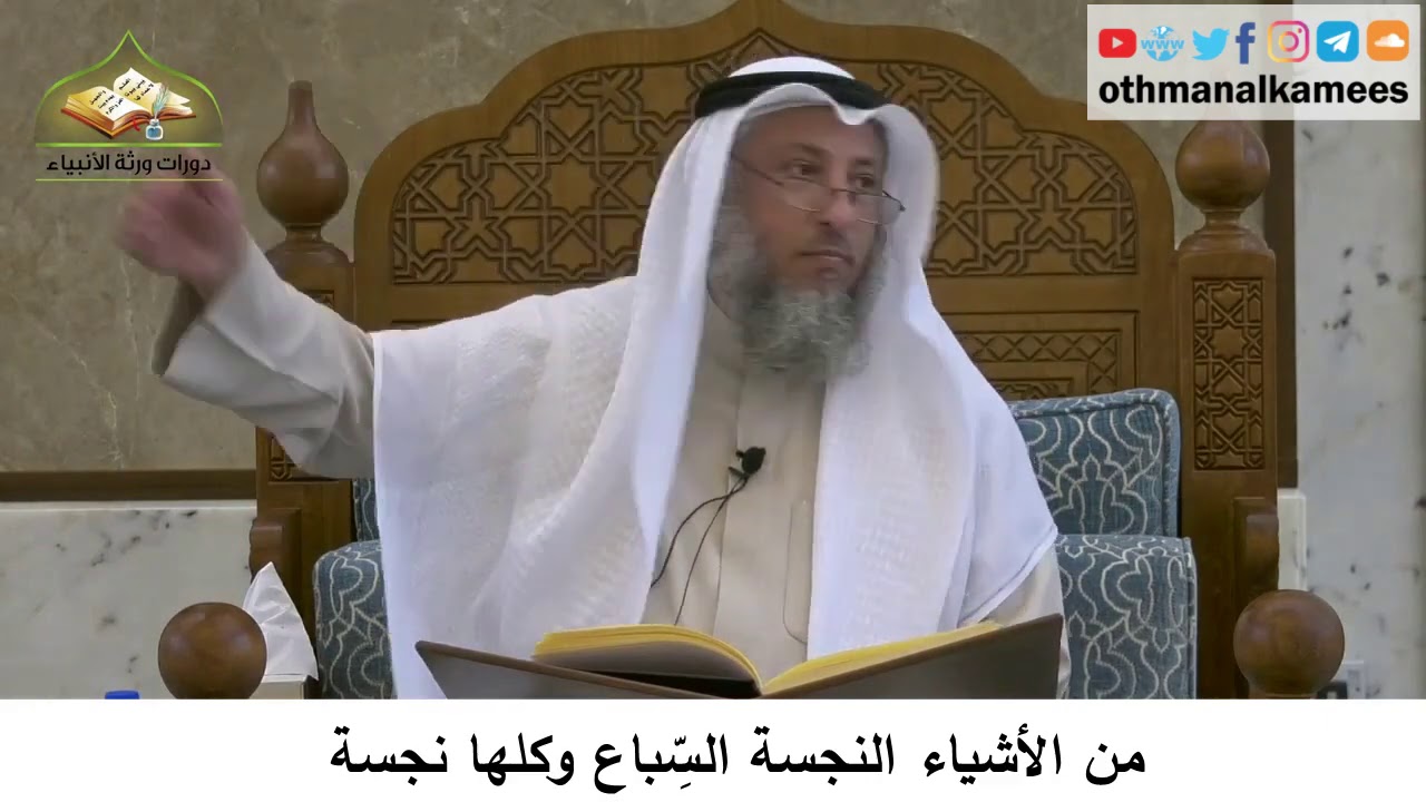 46 - من الأشياء النجسة السباع وكلها نجسة - عثمان الخميس