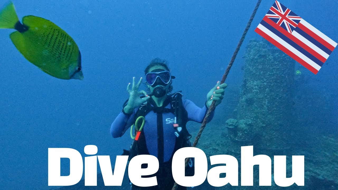 Scuba Diving Oahu with Kaimana Divers [4K]