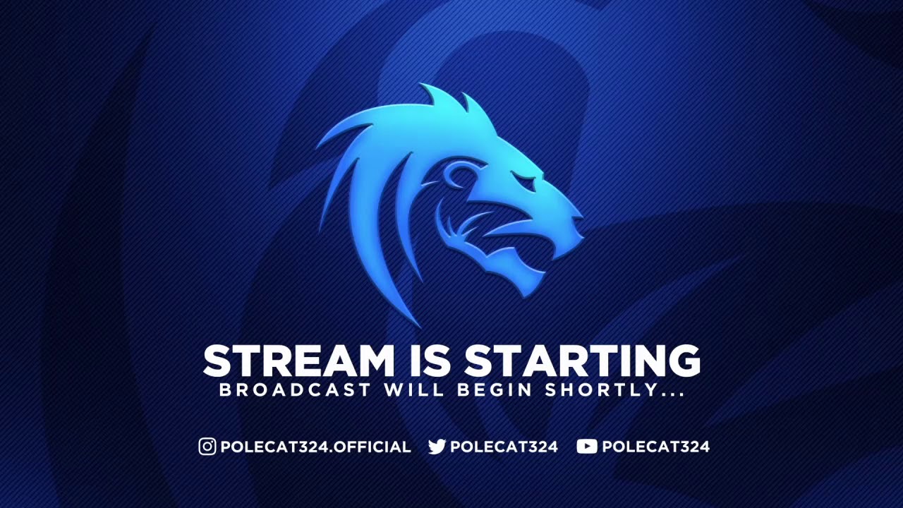 Polecat324 New 2020 Hifi Upbeat Stream Song!!