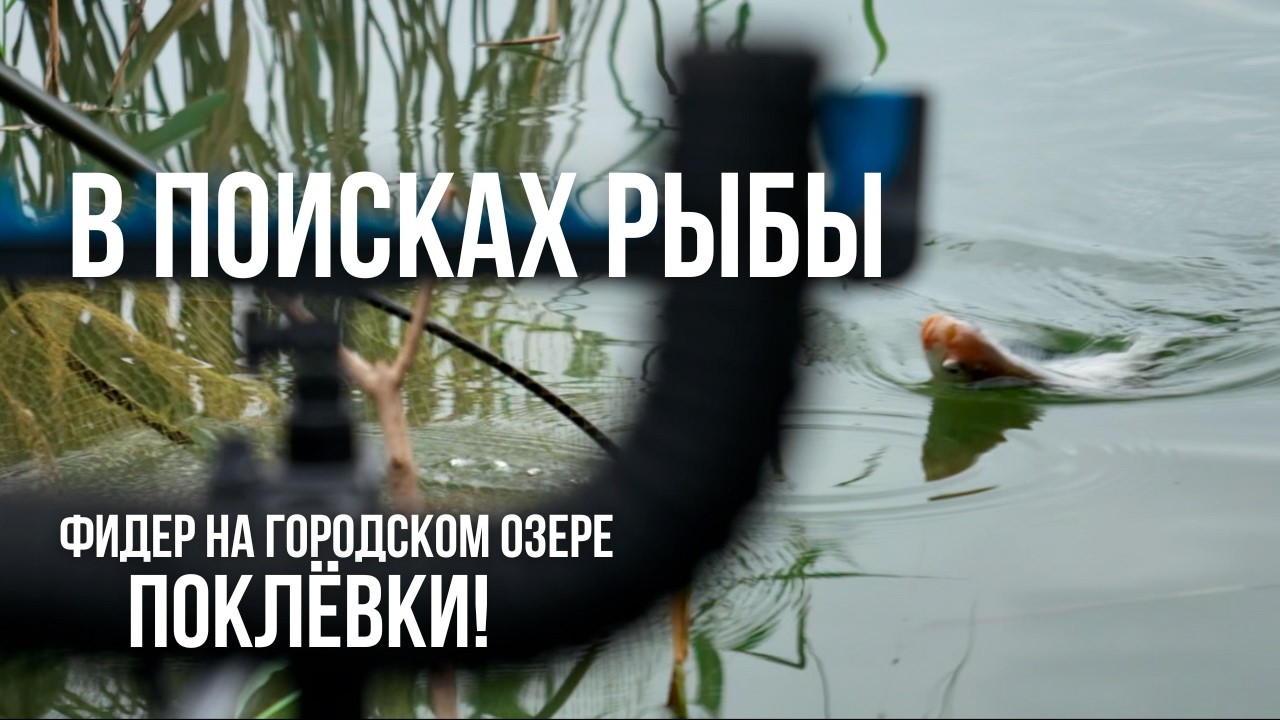Нашел Рыбу на Городском Озере!