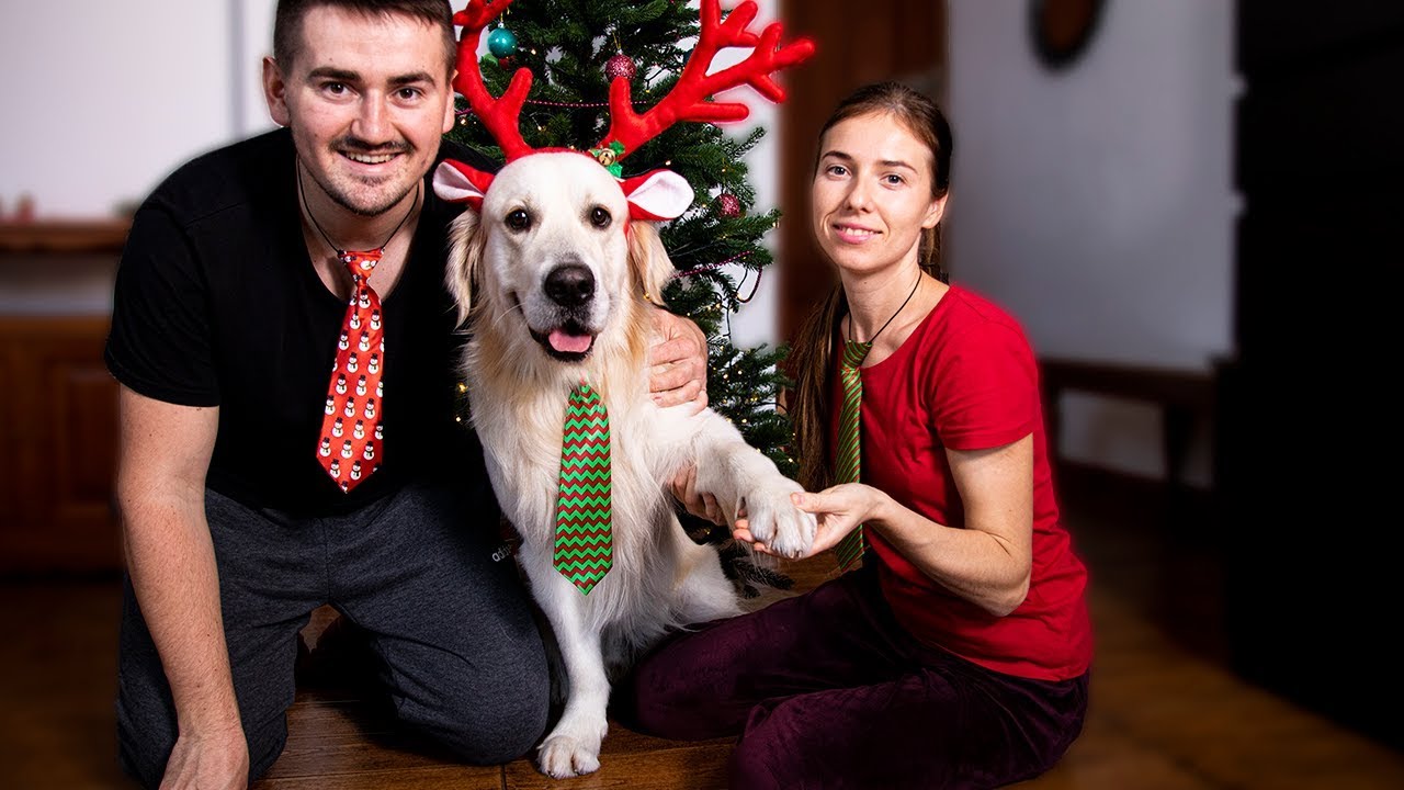 What Does Preparing for CHRISTMAS Look Like with My Dog!