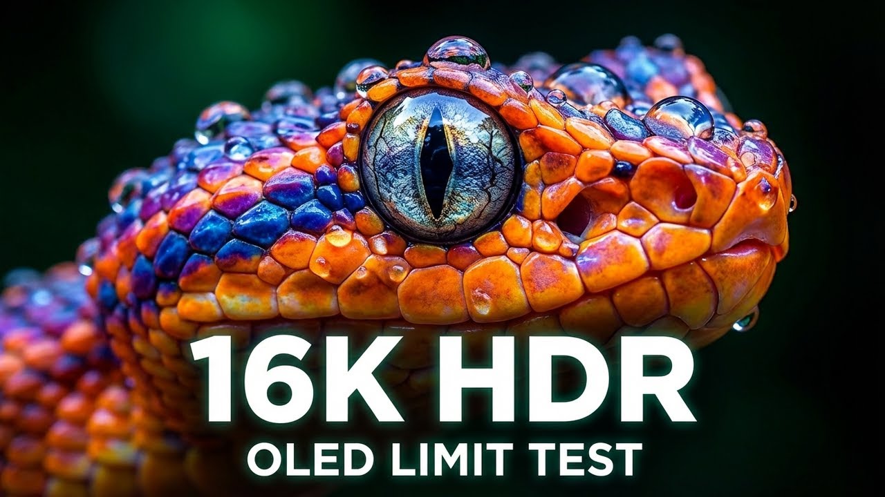 Test Your OLED TV's Limits: 12K HDR 120FPS Cinematic Benchmark