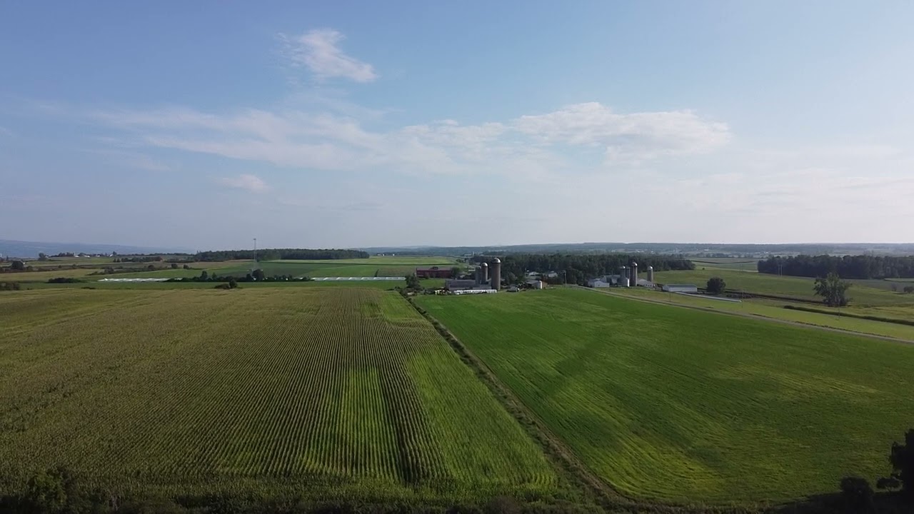 Agricultural Inspections