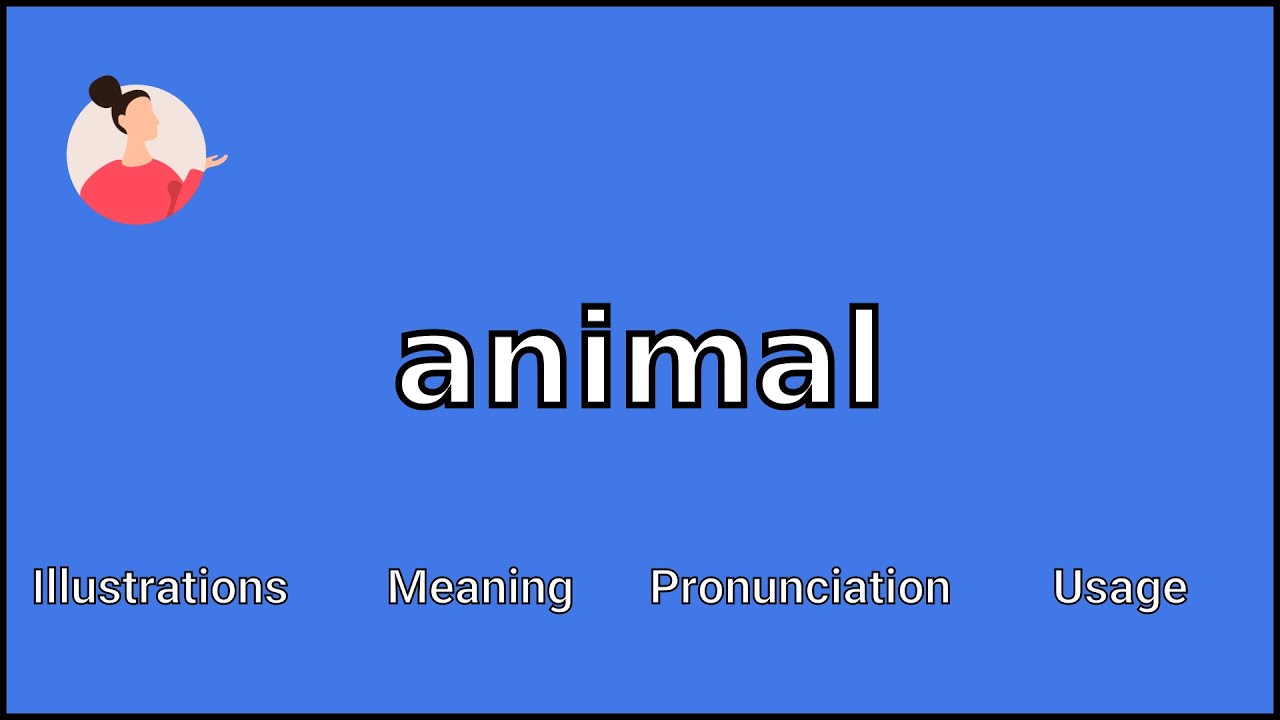 ANIMAL - Meaning and Pronunciation
