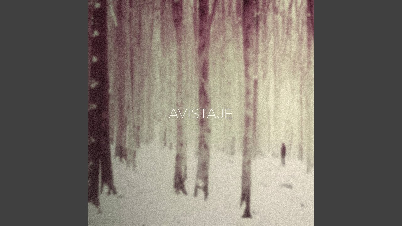 Avistaje