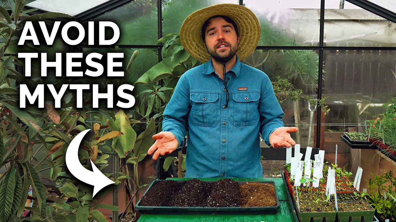 Don’t Make THESE Seedling Mistakes