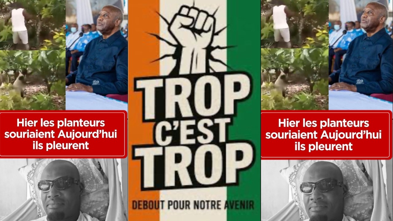 hier les planteurs souriaient aujourd'hui ils pleurent #humor