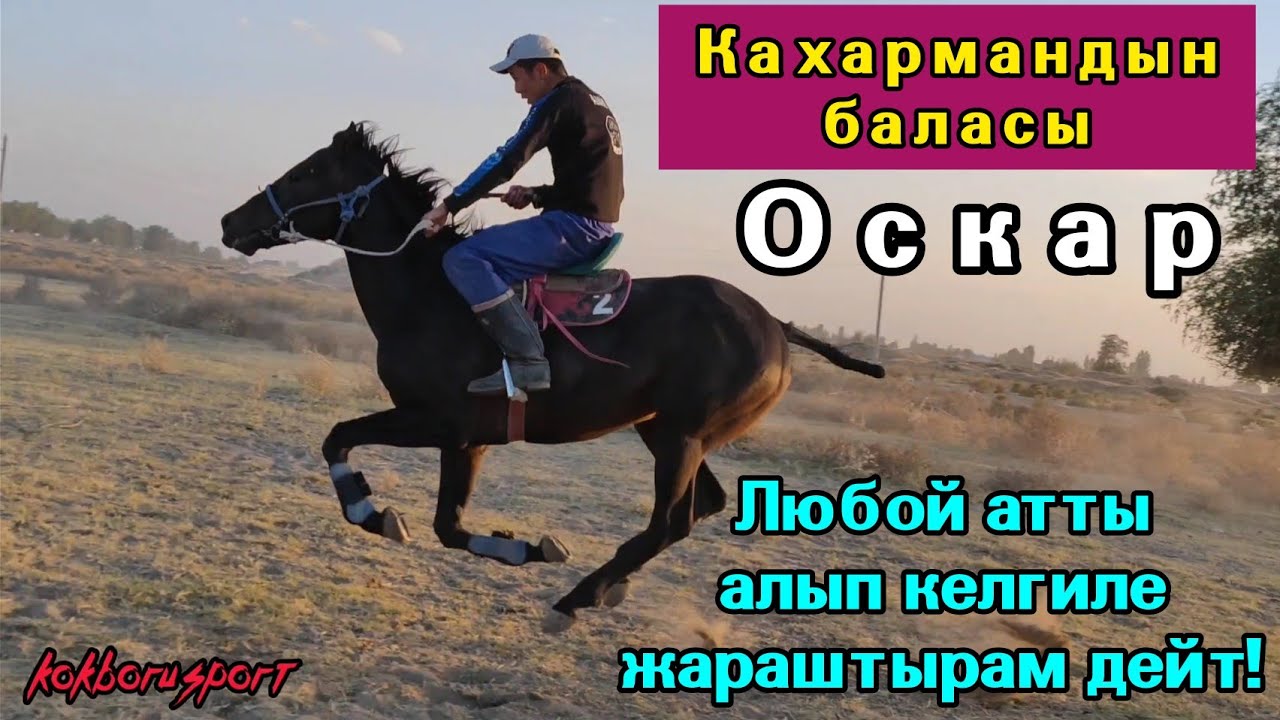 Мына Кахармандын түз баласы 👆Тел: +996702144444