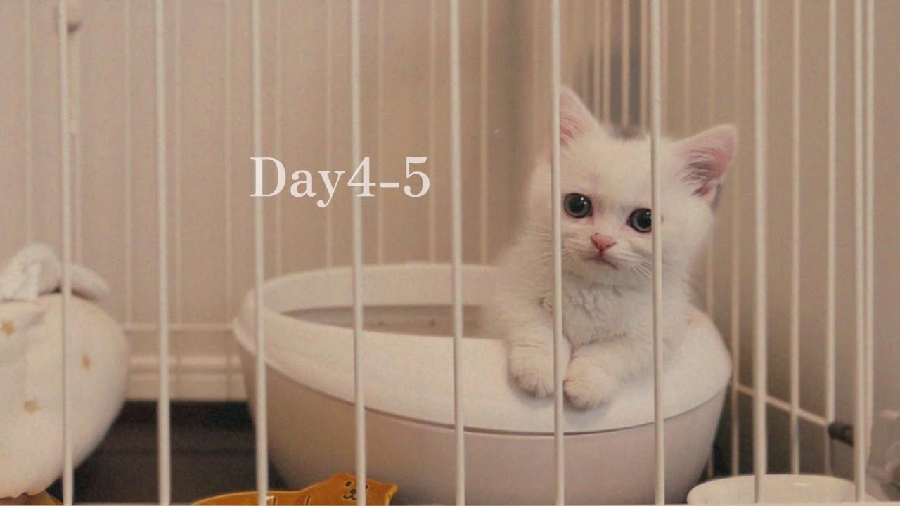 Day4-5