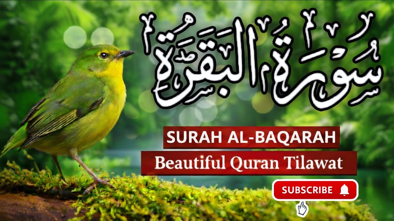 Surah Al-Baqarah Full Tilawat | Beautiful Quran| Ramadan Mubarak 2026 | Makkah Madinah Islamic Video