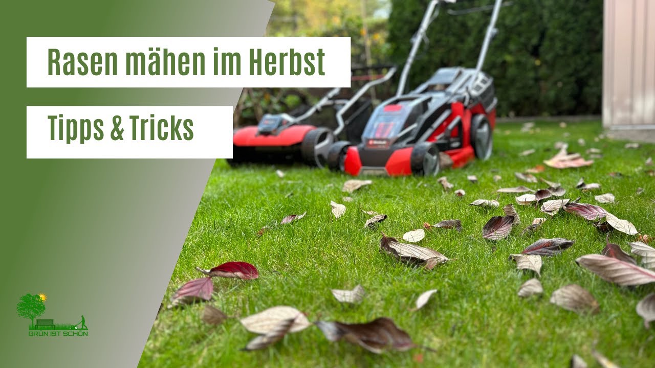 Rasen m&auml;hen im Herbst | Rasen m&auml;hen bei N&auml;sse | Tipps und Tricks | Rasenpflege