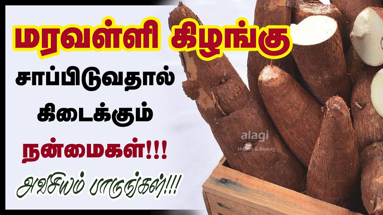மரவள்ளிக் கிழங்கு மருத்துவ பயன்கள் | Maravalli kilangu Benefits in Tamil | cassava | Eating Tapioca