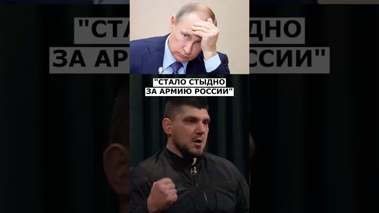 Про армию РФ — командир РДК Денис «White Rex» Никитин