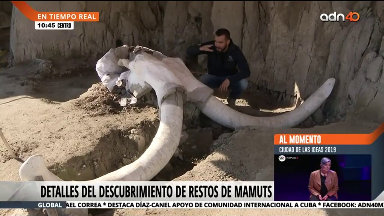 Hallazgo histórico de trampas y restos de mamut en Tultepec